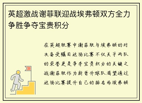 英超激战谢菲联迎战埃弗顿双方全力争胜争夺宝贵积分
