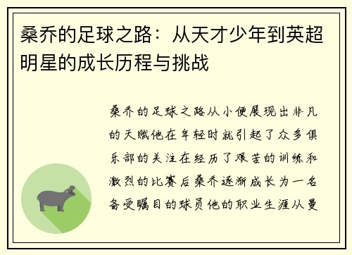 桑乔的足球之路：从天才少年到英超明星的成长历程与挑战